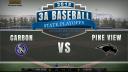 Pine View vs Carbon (Baseball)
